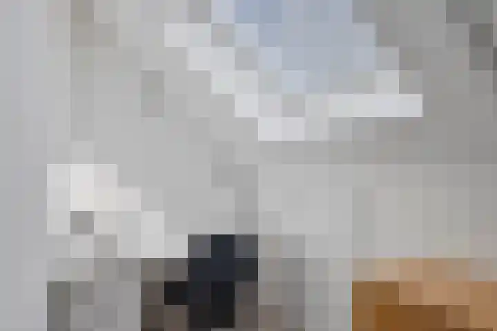 Benthuislaan 59 Zwolle thumbnail 34