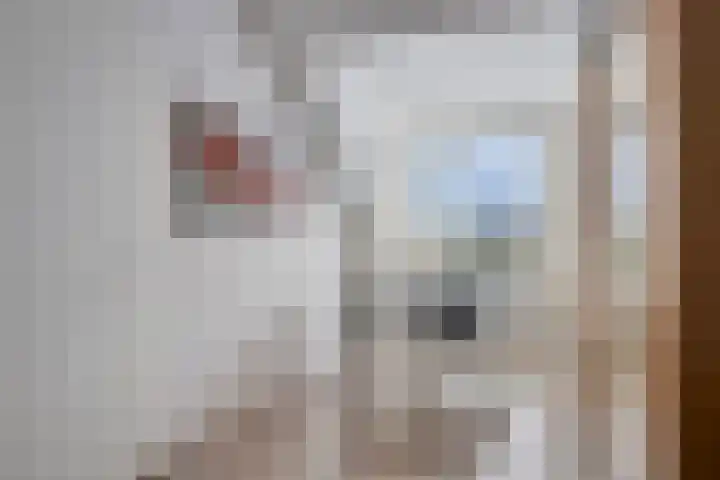Benthuislaan 59 Zwolle thumbnail 35