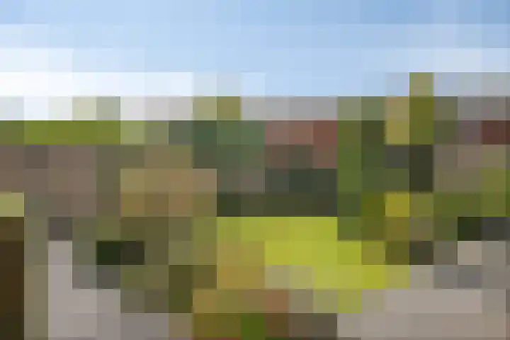 Benthuislaan 59 Zwolle thumbnail 37