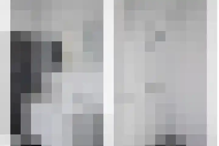 Benthuislaan 59 Zwolle thumbnail 4