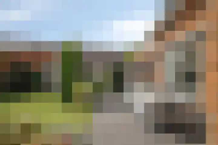 Benthuislaan 59 Zwolle thumbnail 41