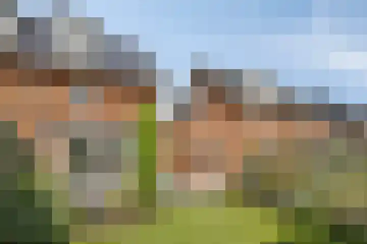 Benthuislaan 59 Zwolle thumbnail 42