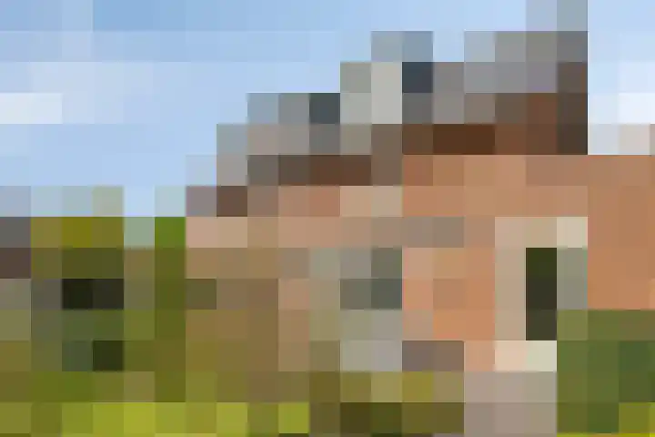 Benthuislaan 59 Zwolle thumbnail 43