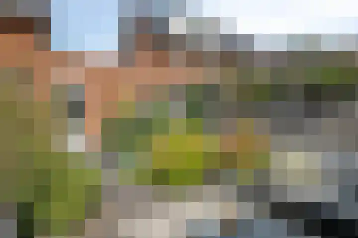 Benthuislaan 59 Zwolle thumbnail 44