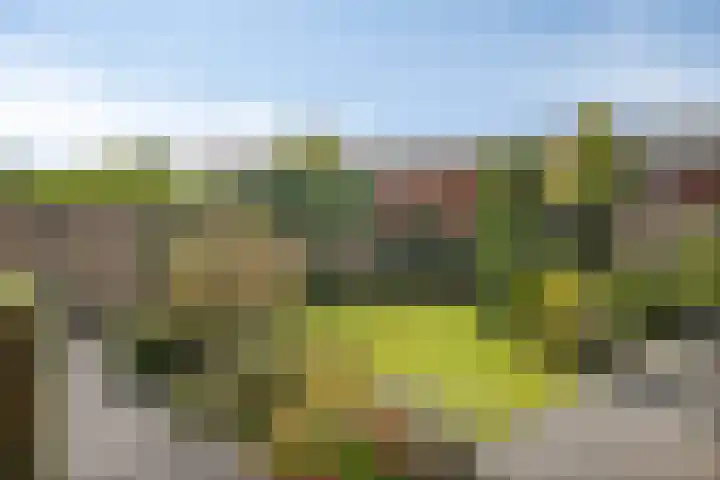 Benthuislaan 59 Zwolle thumbnail 5