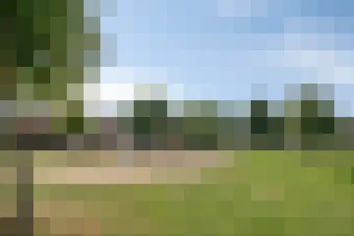 Benthuislaan 59 Zwolle thumbnail 53