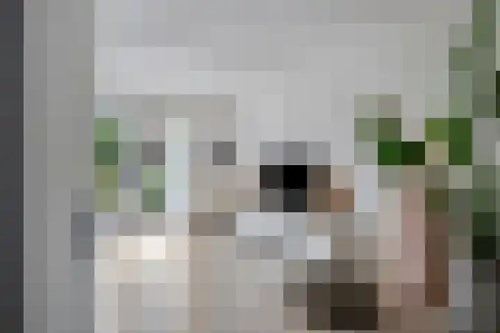 Benthuislaan 59 Zwolle thumbnail 6