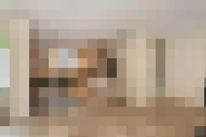 Benthuizenstraat 12 Zoetermeer thumbnail 13