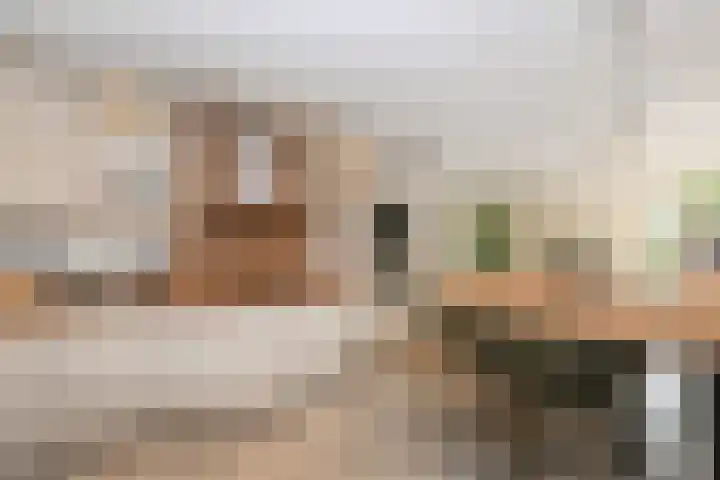 Benthuizenstraat 12 Zoetermeer thumbnail 17