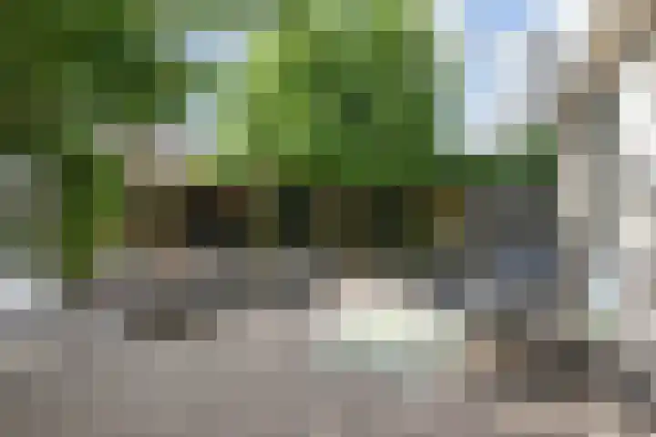 Benthuizenstraat 12 Zoetermeer thumbnail 20