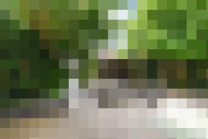 Benthuizenstraat 12 Zoetermeer thumbnail 21
