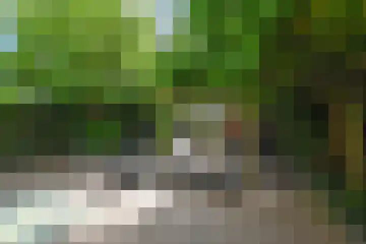 Benthuizenstraat 12 Zoetermeer thumbnail 22