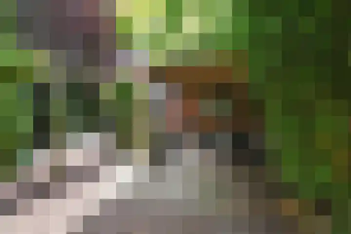 Benthuizenstraat 12 Zoetermeer thumbnail 23