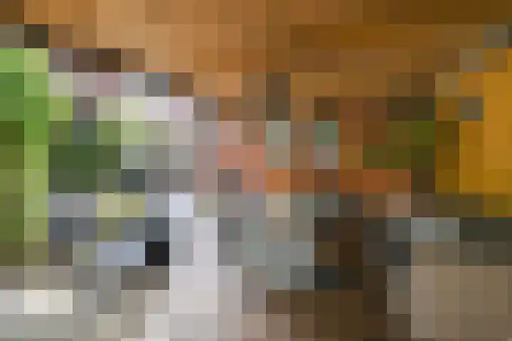 Benthuizenstraat 12 Zoetermeer thumbnail 24