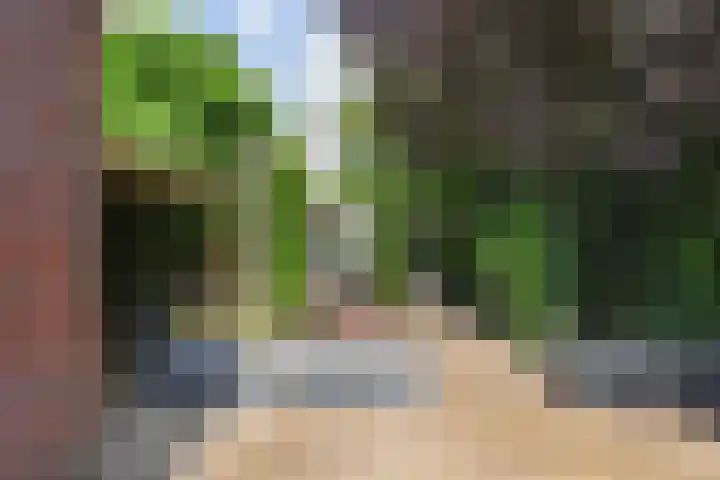 Benthuizenstraat 12 Zoetermeer thumbnail 25