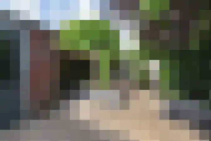 Benthuizenstraat 12 Zoetermeer thumbnail 26