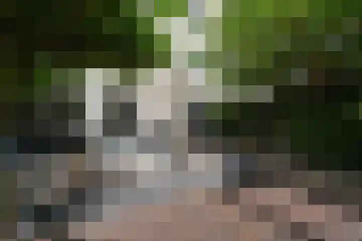Benthuizenstraat 12 Zoetermeer thumbnail 28