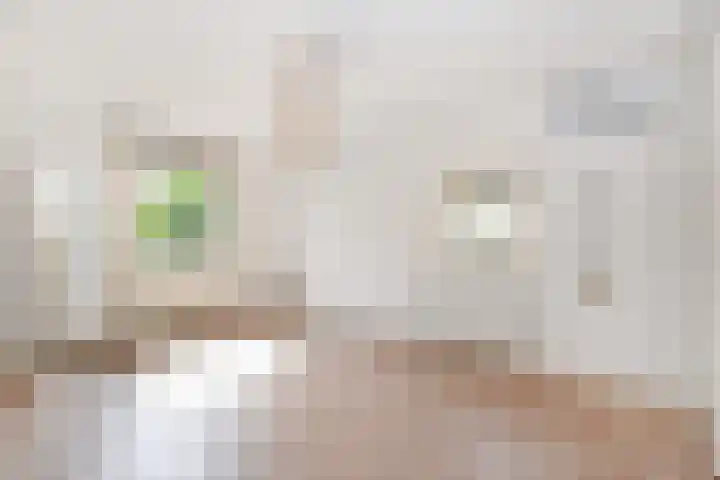 Benthuizenstraat 12 Zoetermeer thumbnail 31