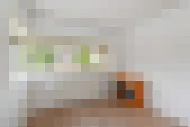 Benthuizenstraat 12 Zoetermeer thumbnail 35