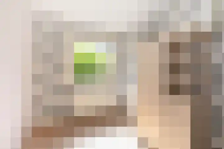 Benthuizenstraat 12 Zoetermeer thumbnail 36