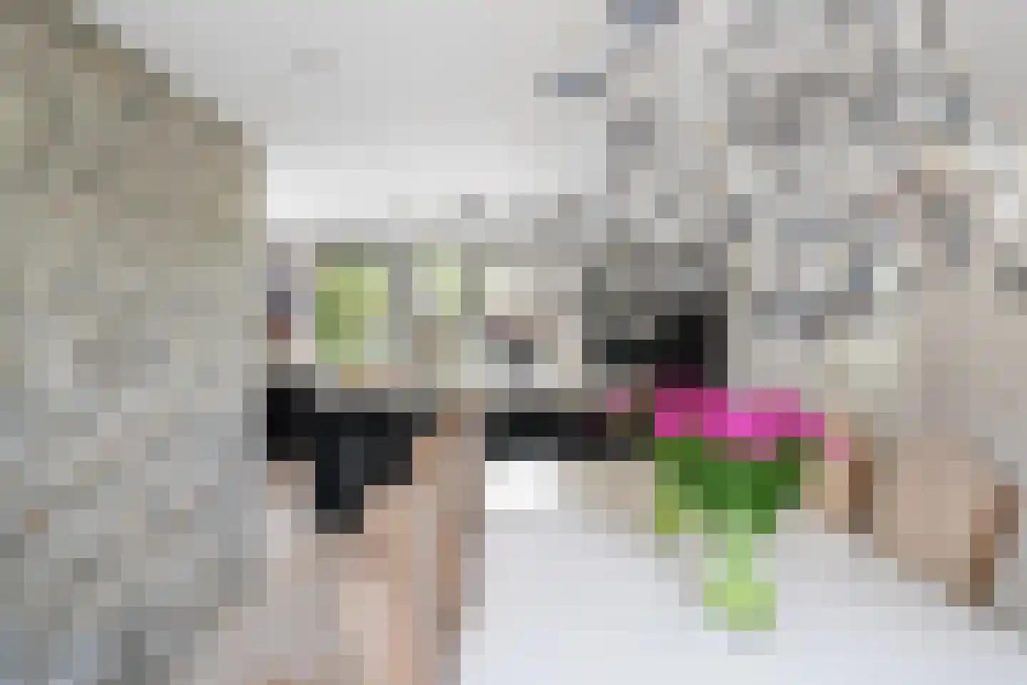 Benthuizenstraat 15 Zoetermeer thumbnail 12