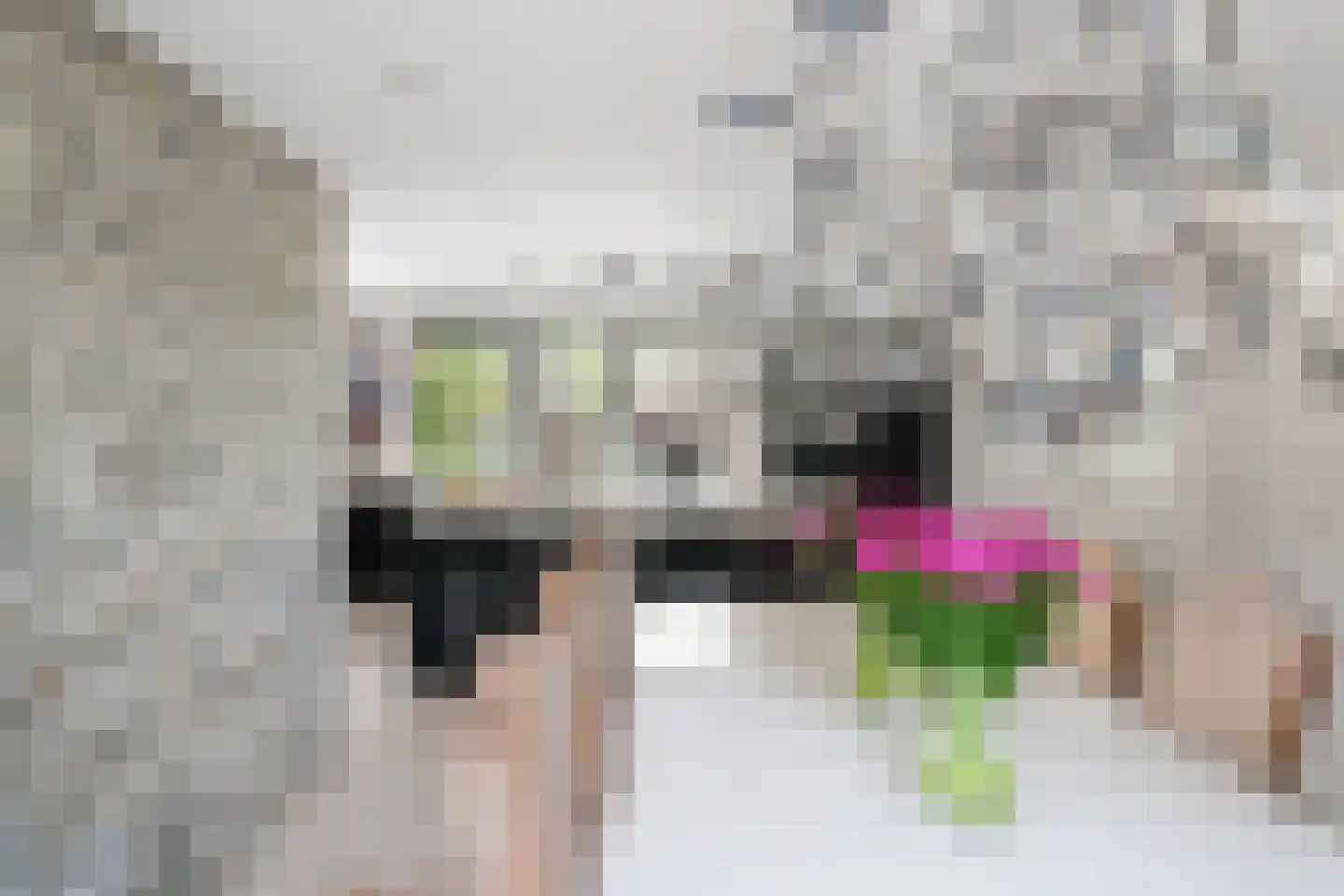 Benthuizenstraat 15 Zoetermeer thumbnail 13