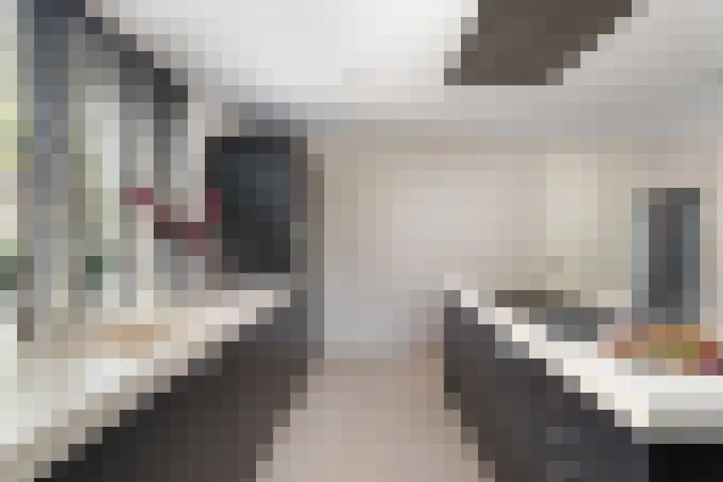 Benthuizenstraat 15 Zoetermeer thumbnail 15