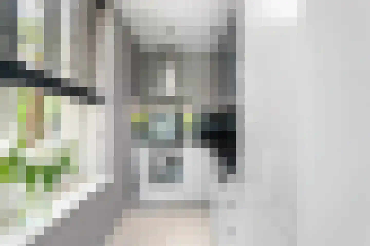 Benthuizenstraat 15 Zoetermeer thumbnail 18