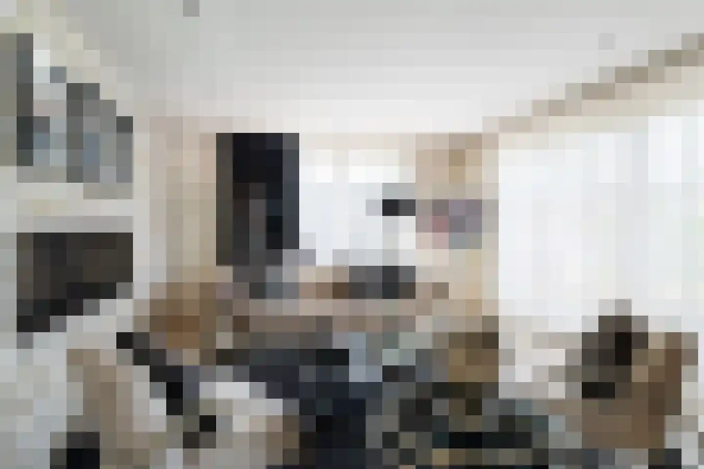 Benthuizenstraat 15 Zoetermeer thumbnail 21
