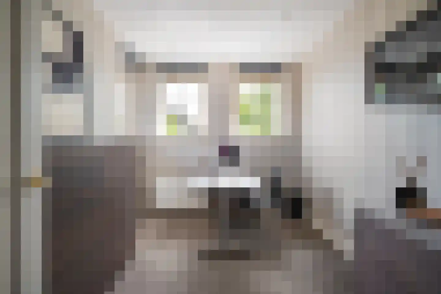 Benthuizenstraat 15 Zoetermeer thumbnail 36