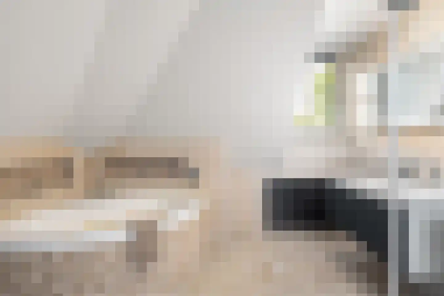 Benthuizenstraat 15 Zoetermeer thumbnail 41