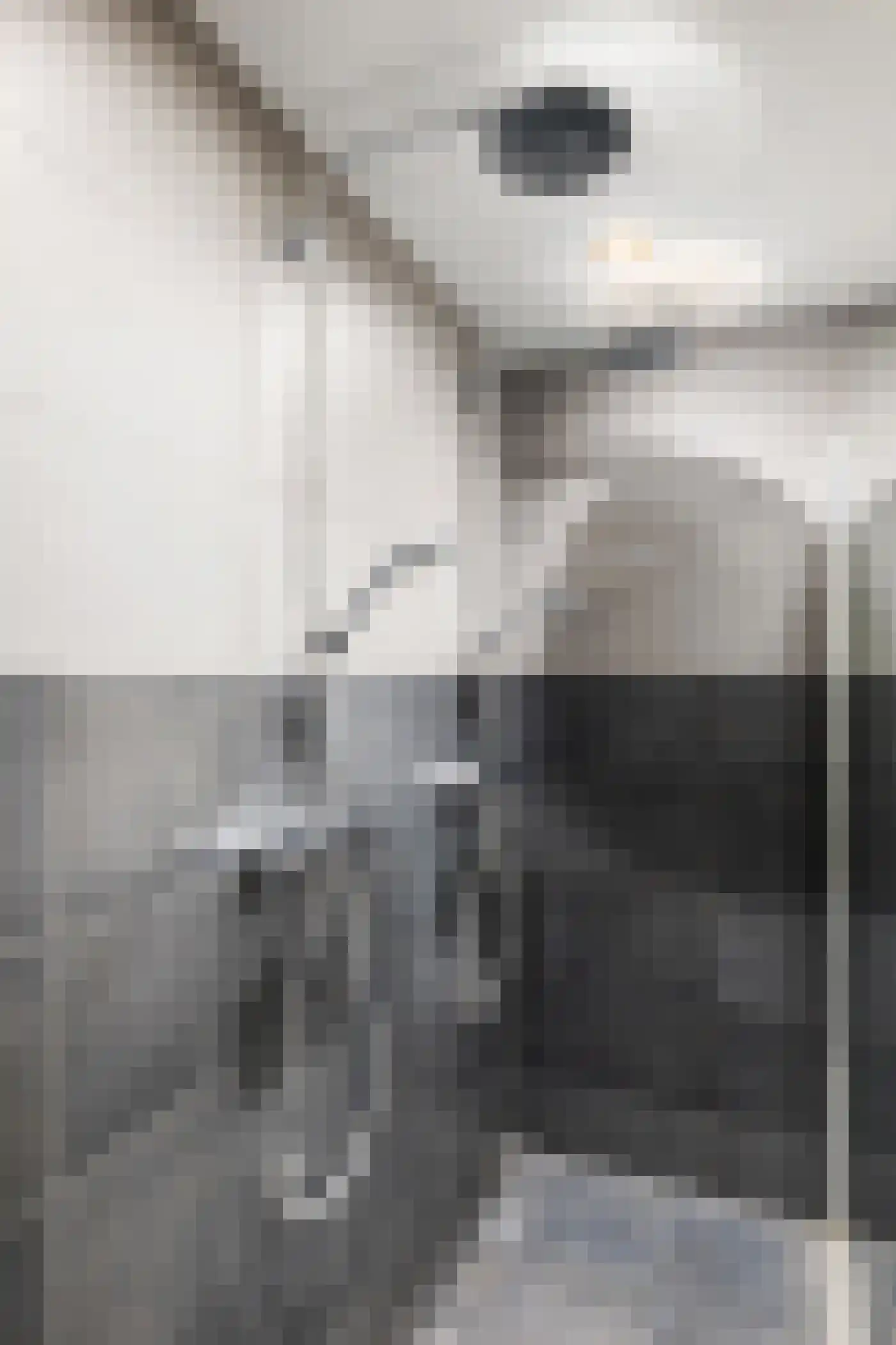 Benthuizenstraat 15 Zoetermeer thumbnail 49