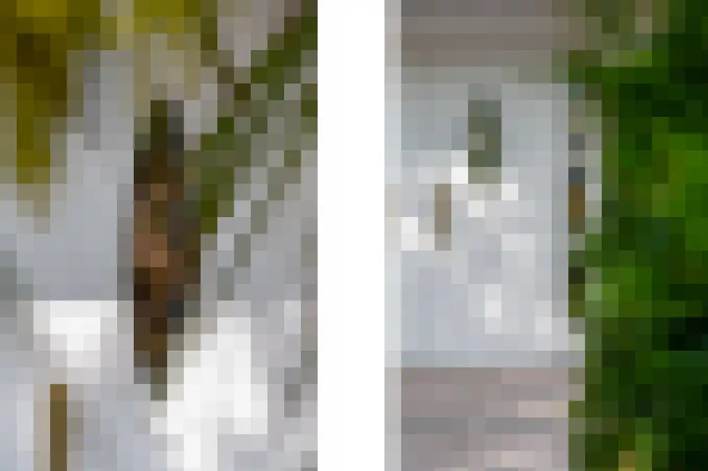 Benthuizenstraat 15 Zoetermeer thumbnail 5