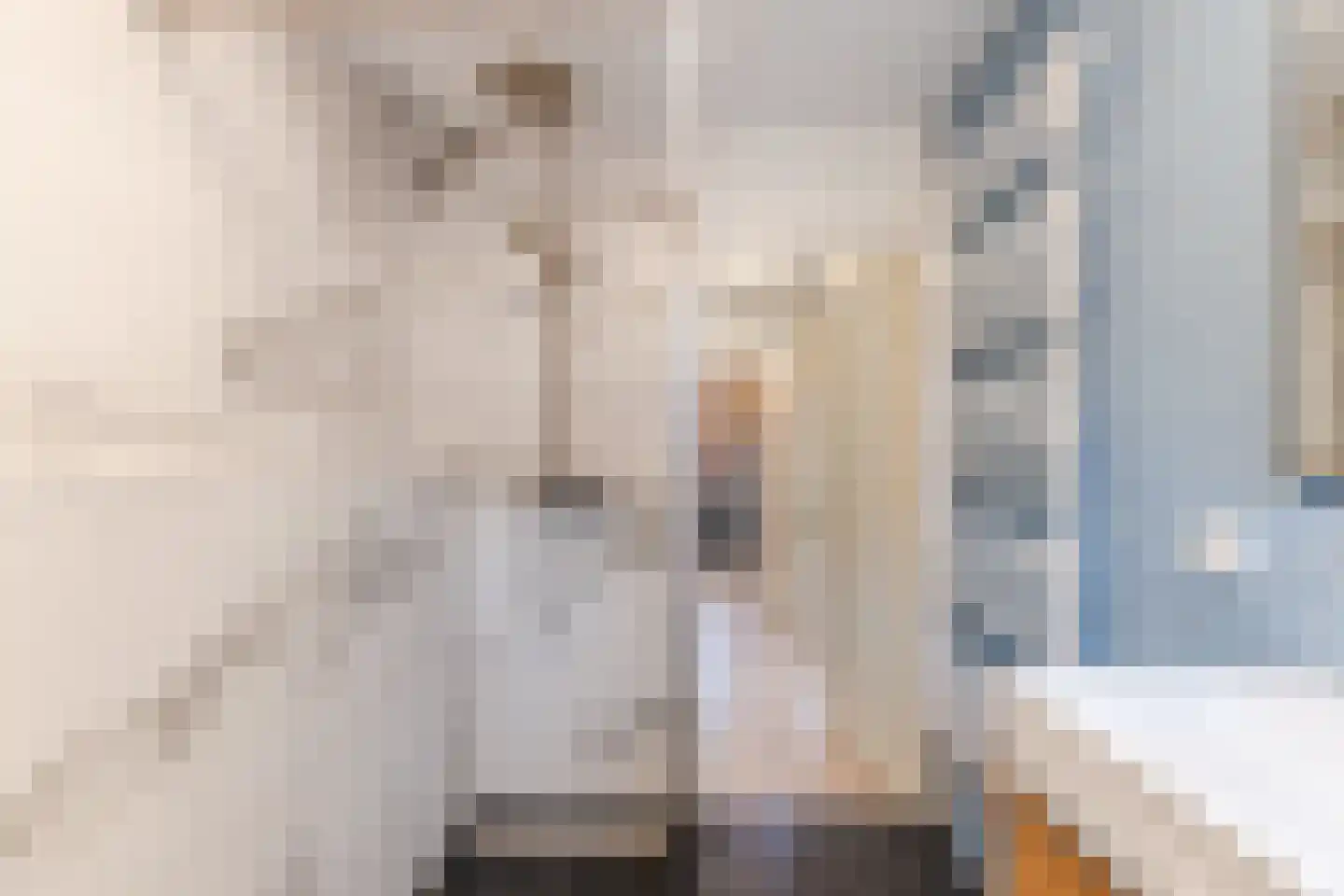 Benthuizenstraat 16 Tilburg thumbnail 18
