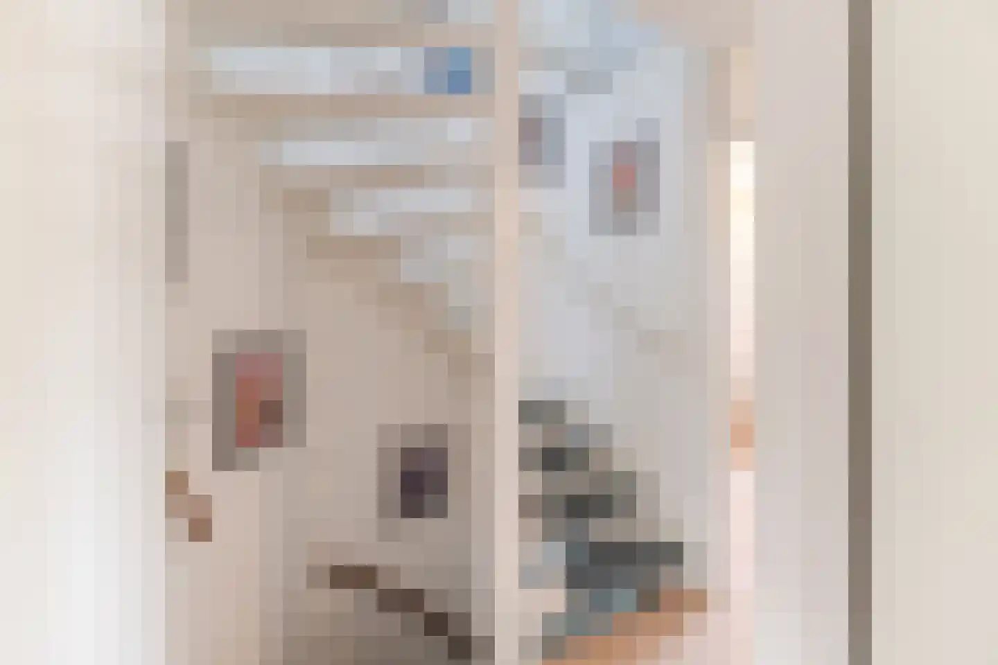 Benthuizenstraat 16 Tilburg thumbnail 20