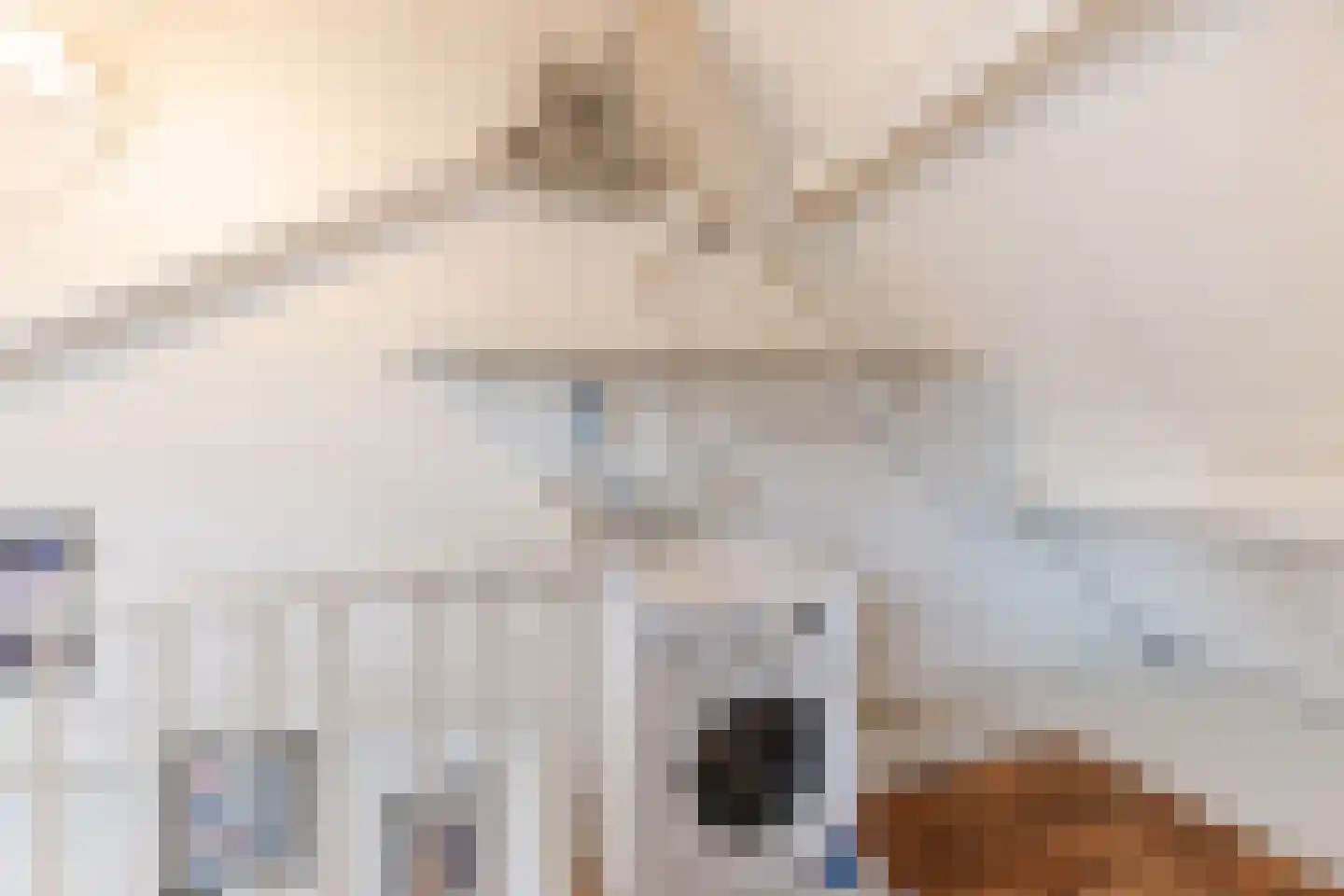 Benthuizenstraat 16 Tilburg thumbnail 21