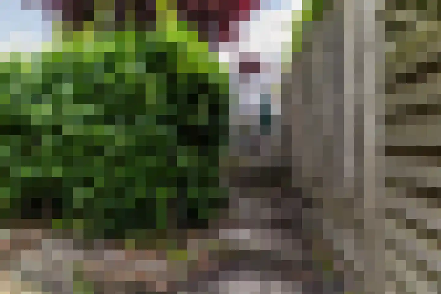 Benthuizenstraat 16 Tilburg thumbnail 29