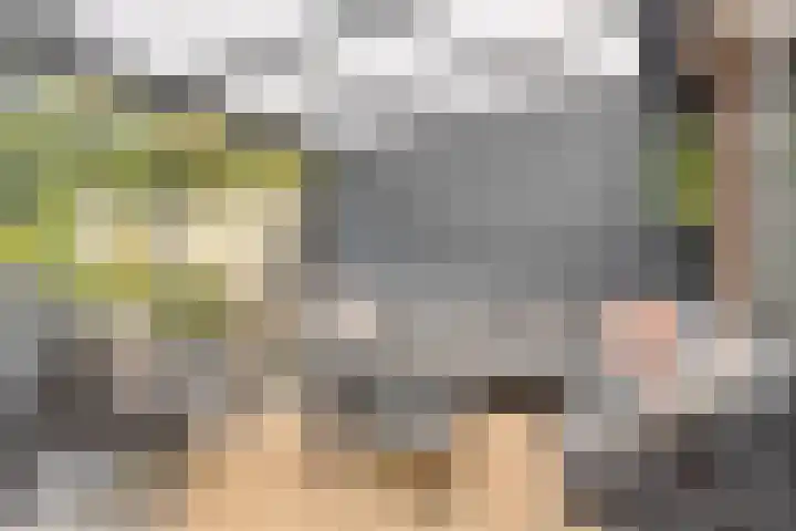 Benthuizenstraat 24 Tilburg thumbnail 15