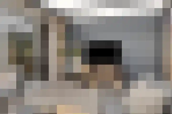 Benthuizenstraat 24 Tilburg thumbnail 16