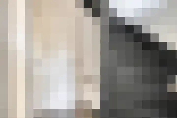 Benthuizenstraat 24 Tilburg thumbnail 17