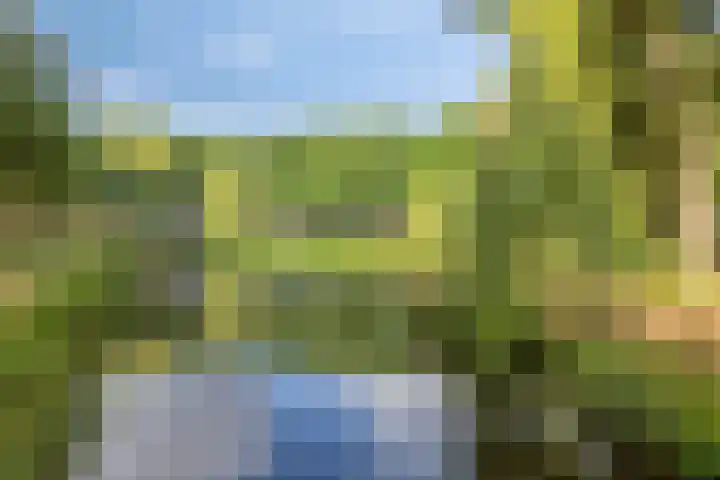 Benthuizenstraat 24 Tilburg thumbnail 32
