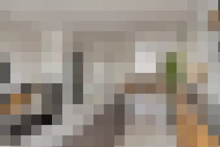 Benthuizenstraat 24 Tilburg thumbnail 9