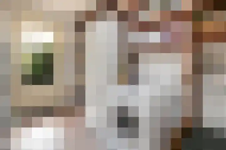 Benthuizenstraat 30 Zoetermeer thumbnail 19