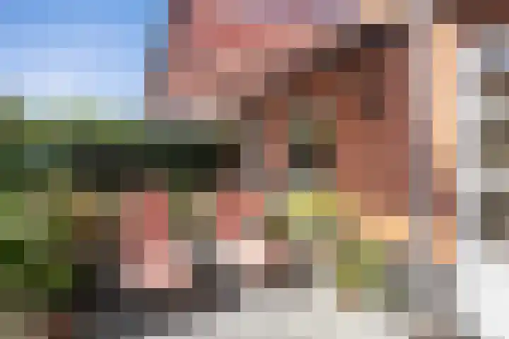 Benthuizenstraat 30 Zoetermeer thumbnail 9