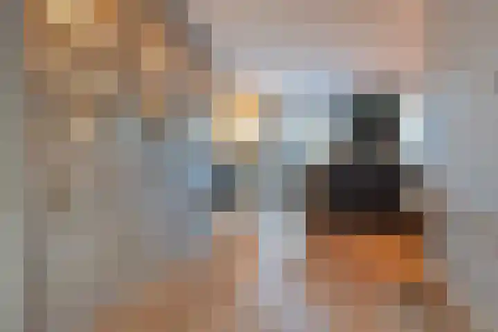 Benthuizenstraat 5 A Zoetermeer thumbnail 19