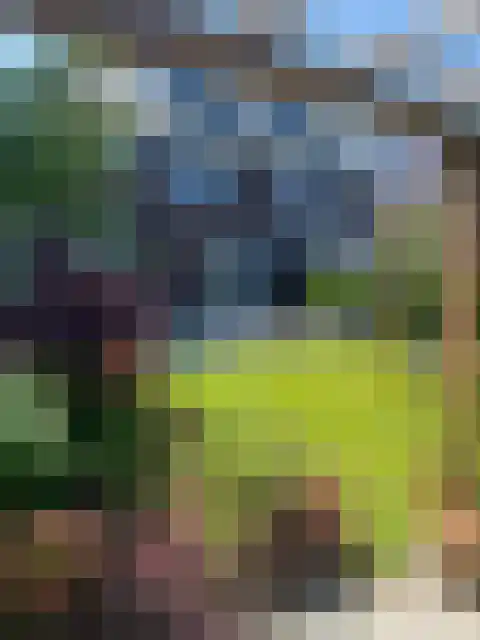 Benthuizenstraat 5 A Zoetermeer thumbnail 38