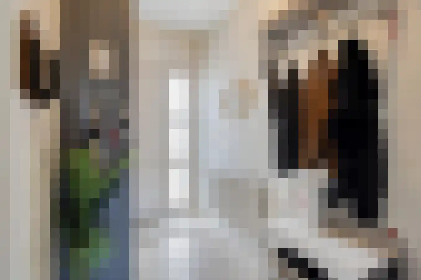 Benthuizenstraat 64 Tilburg thumbnail 15