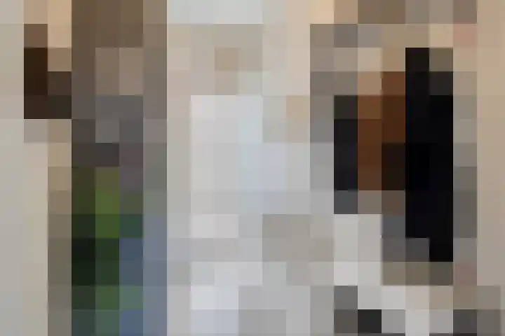 Benthuizenstraat 64 Tilburg thumbnail 15