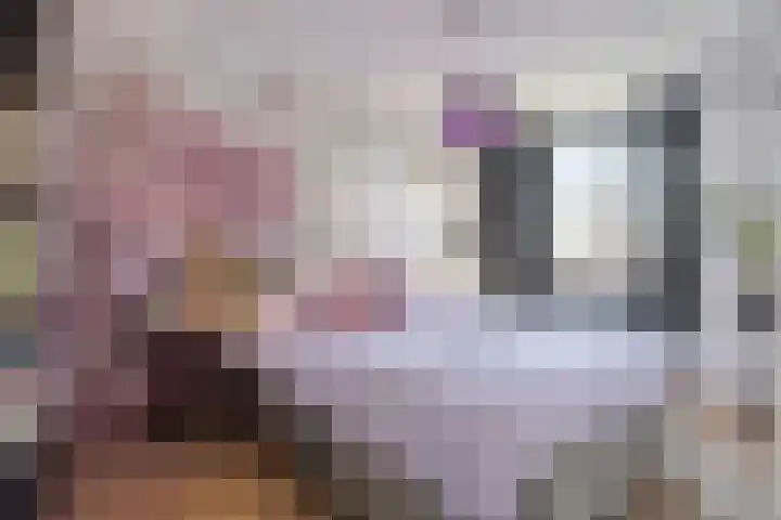 Benthuizenstraat 64 Tilburg thumbnail 17