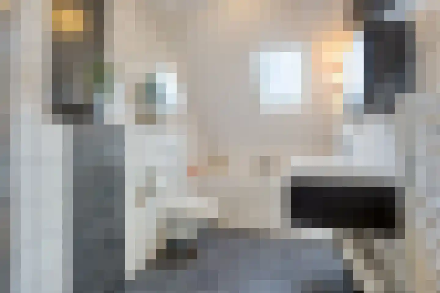 Benthuizenstraat 64 Tilburg thumbnail 19